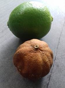 LA MEJOR VENTA DE DIAPOSITIVOS DE CAL FRESCOS Y SECOS NUEVA CULTIVA SABOR Y DULCE DE PROVEEDORES VIETNAMESOS - Product Image 2