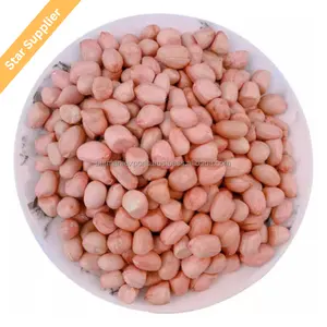 Best Factory Wholesale Jumbo Peanuts blanched peanut 100% Natural Peanut Kernels Cheap shelled Raw Peanuts