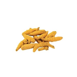 นิ้วขมิ้นพร้อมจำหน่ายในราคาขายส่งสำหรับผู้ซื้อทั่วโลก - Product Image 1