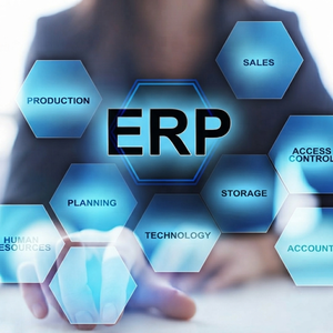Services professionnels de systèmes ERP : planification des ressources de l'entreprise, automatisation des flux de travail et intégrations numériques évolutive - Product Image 3