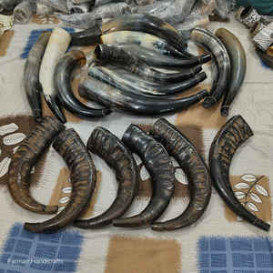 Corneta Tradicional de Búfalo Grande con Cordón de Cuero, Instrumento Musical Tradicional a Precio Económico - Product Image 2