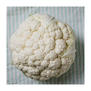 Venta directa de fábrica de brócoli orgánico fresco congelado IQF, saludable, de alta calidad, envasado a granel en plástico. - Product Image 3