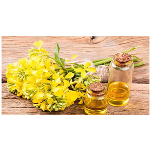 Aceite de colza refinado |   Aceite de Canola Refinado |   Certificado Orgánico - Product Image 3