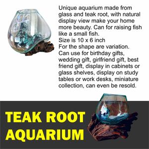 Aquarium en racine de teck - Product Image 3
