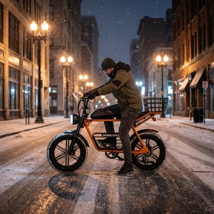 Bici Elettrica Robusta con Pneumatici Larghi e Portapacchi Centrale, E-bike per Ogni Condizione Meteo, Ideale per Spostamenti Invernali su Sentieri Innevati - Product Image 5