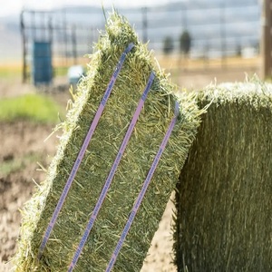 Heno de Alfalfa Verde Natural para Alimentación de Caballos y Ganado con Rico Contenido de Nutrientes Vegetales, Alto Contenido de Fibra y Forraje Seco Limpio - Product Image 1