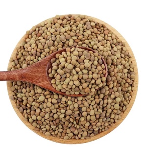 Lentejas Rojas Enteras Secas, Granos Naturales a Granel, 25 kg, Tanzania TZ453G, 24 Meses de Caducidad, para Sopa, Curry y Comida - Product Image 4
