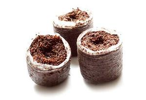 Palettes de poudre de coco de haute qualité du Vietnam |   Vente en gros écologique |   Noix de Grenoble de la marque Viet Delta - Product Image 3