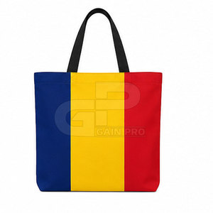 Kit de supporter de football promotionnel de haute qualité comprenant un maillot, un chapeau, une écharpe, un ballon et un drapeau, conçu pour les supporters de football passionnés - Product Image 4