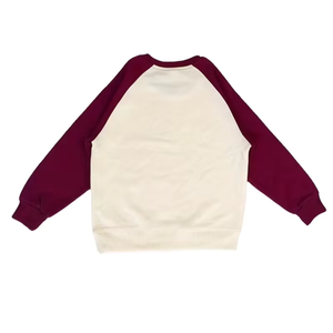 Boys And Girls Color Block Crew Neck Sweatshirt Spring And Autumn Raglan Sleeve Sweatshirt Color Block Sports Sweatshirt - Product Image 2