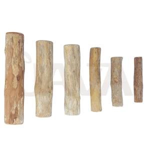 Bâton à mâcher pour chien en bois de canéphora, écologique, durable, avec design simple pour le nettoyage des dents, jouet à mâcher durable pour animaux de compagnie, taille M - Product Image 4