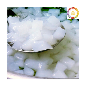 Nata de Coco à la noix de coco |   Noix de coco fermentée naturellement |   Garniture sucrée |   Fournisseur en gros Vietnam - Product Image 5