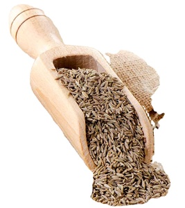 Graines de cumin de haute qualité à vendre en Inde - Product Image 6