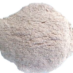 Polvo de concha de ostra premium-Fuente de calcio de alta calidad - Product Image 3