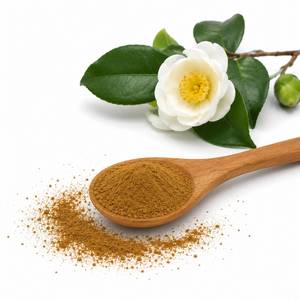Fournisseur d'ingrédients antioxydants naturels : Poudre d'extrait de Camellia Sinensis, matière première de thé vert de qualité supérieure pour la nutrition fonctionnelle - Product Image 5
