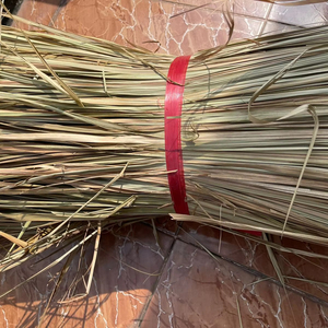 Fabricante Vietnamita de Fibra Natural de Pasto Marino Crudo para la Producción de Cestas Decorativas y Artesanías - Product Image 1