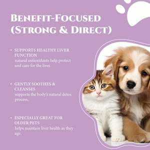 Suplemento Líquido de Extracto de Cardo Mariano OEM para Perros y Gatos, Refuerzo Inmunológico, Desintoxicación Hepática, Cuidado de la Salud y Suplementos para Mascotas - Product Image 5