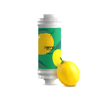 Filtre de douche NEMO coréen en plastique à 2 étapes, enrichi en vitamine C, pour éliminer le chlore et la rouille, soin de la peau, aromathérapie, usage domestique, conforme RoHS