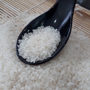 Riz Jasmin 100% brisé Prix bas Haute qualité Vente vers l'Afrique, le Moyen-Orient, les marchés des îles Jacob - Product Image 2