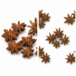 Best Rate Top Notch Quality Delicious Hot Sale Vietnam Manufacturer Supply Star Anise Customized Packaging - Product Image 6