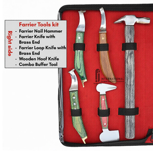 F.J.INTERNATIONAL Durable Stainless Steel Horse Dog Farrier Tool Kit Hoof Trimmers <b>File</b> Pliers Hammer Equine Care Reusable - Product Image 2