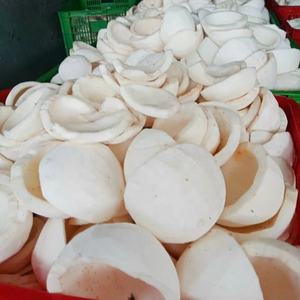 Viande de noix de coco râpée congelée coupe moyenne IQF 0.5x2cm bandes chair de noix de coco râpée blanche pour biscuits confiserie desserts glacés - Product Image 3