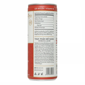 Hot Selling Pomegranate Kombucha Drink 250ml Star Kombucha Brand Fermented Tea <b>Beverage</b> Competitive Price Wholesale Export - Product Image 2