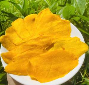 Tranches de mangue séchées douces et assaisonnées au chili, qualité export, saveur épicée et sucrée, exportateur Vietnam - Product Image 1