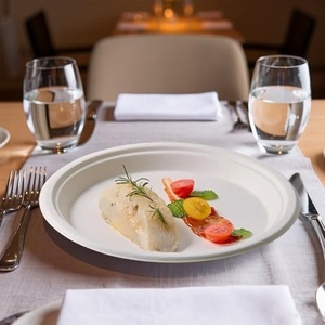 Platos Ecológicos para Comida, Ideales para Fiestas, Catering y Eventos, Platos Redondos de 9 Pulgadas de Bagazo para Cafeterías, Hoteles y Servicios de Catering - Product Image 1