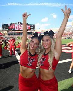 Top corto y falda estampados para mujer, uniformes de porristas, equipo de baile para adultos, trajes escolares y disfraces deportivos - Product Image 4