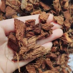 Copeaux de coco bio, blocs compressés de tourbe de coco à haute capacité d'absorption d'humidité pour la croissance des plantes et le jardinage - Product Image 3