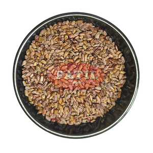 Polvo de Semillas de Cassia tora, Chakramarda Beej Churna, Exportación a Granel de la India - Product Image 1