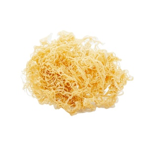 Vente chaude mousse de mer du Vietnam haute qualité Eucheuma Cottonii algues humidité 10% mousse de mer séchée pour la cuisson - Product Image 2