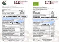 En vrac 30-50% Polysaccharides Bêta Glucane Hericium Erinaceus Lion Crinière Champignon Extrait Poudre