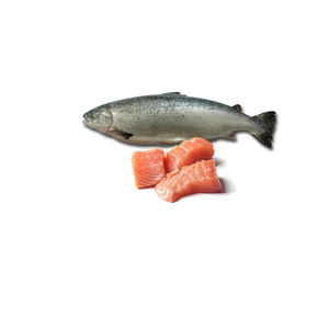 Salmón del Atlántico fresco y congelado/Salmón entero congelado/Cabeza de salmón en venta - Product Image 4