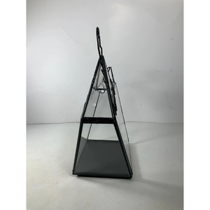 Wholesale Geometric Chicken Design Made Glass Terrarium with Black Finished Iron Frame for Flower Pot Table Top Decoration - Product Image 2