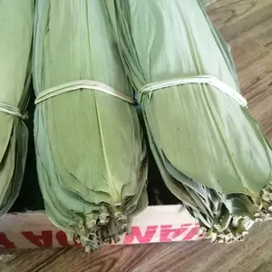 Kuru bambu yaprağı iyi kalite vietnam ihracat tayvan ve çin