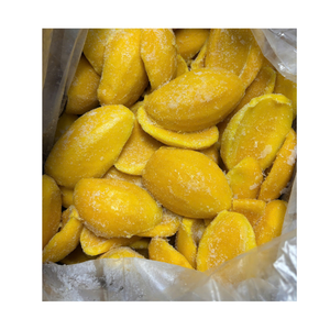 Purée de mangue surgelée, emballage en carton de 20 kg, transformation de fruits du Vietnam - Product Image 1