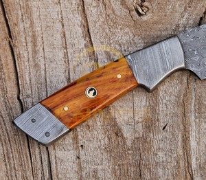 Cuchillo de caza profesional hecho a mano con hoja de acero de Damasco y mango de madera |   Cuchillo de Supervivencia para Camping y Bushcraft con Hoja Fija Afilada, Disponible para OEM - Product Image 4