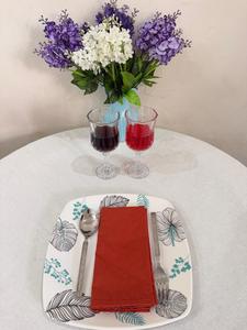 Servilletas de Tela Hechas a Mano 100% Algodón, Servilletas de Mesa Rústicas de Lino, Servilletas Tejidas Estampadas en Rollo, Desechables para Bodas y Uso en la Cocina - Product Image 3