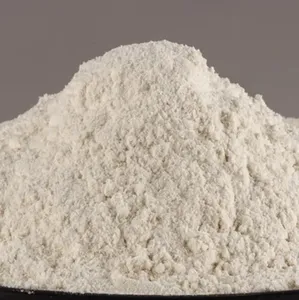 Poudre d'oignon blanc biologique naturelle 100% pure en vrac/sous vide 1kg, fabriquée à partir d'oignons séchés, saveur riche, assaisonnement culinaire, soupes, export - Product Image 4