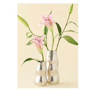 Vase décoratif en aluminium pour espaces de vie haut de gamme, amélioration artistique de la pièce et design sophistiqué - Product Image 5