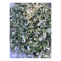 Daun Teratai Kering Vietnam Grosir Kualitas Premium Alami Bahan Teh Herbal Kelas Makanan Harga Pabrik OEM ODM