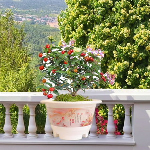 Pot à café - Product Image 1