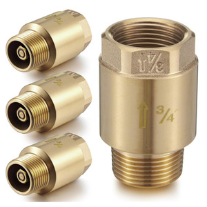 <span class=keywords><strong>Clapet</strong></span> <span class=keywords><strong>anti</strong></span>-<span class=keywords><strong>retour</strong></span> double avec soupape de purge atmosphérique intermédiaire 3/4 pouce - Product Image 5