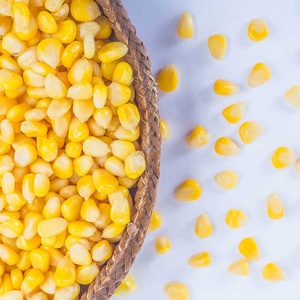 EXCLUSIVE <strong>RECIPE</strong> COMPETITIVE PRICE <strong>Canned</strong> Whole Kernels Sweet Corn Fried Corn <strong>Canned</strong> Vegetables 15oz