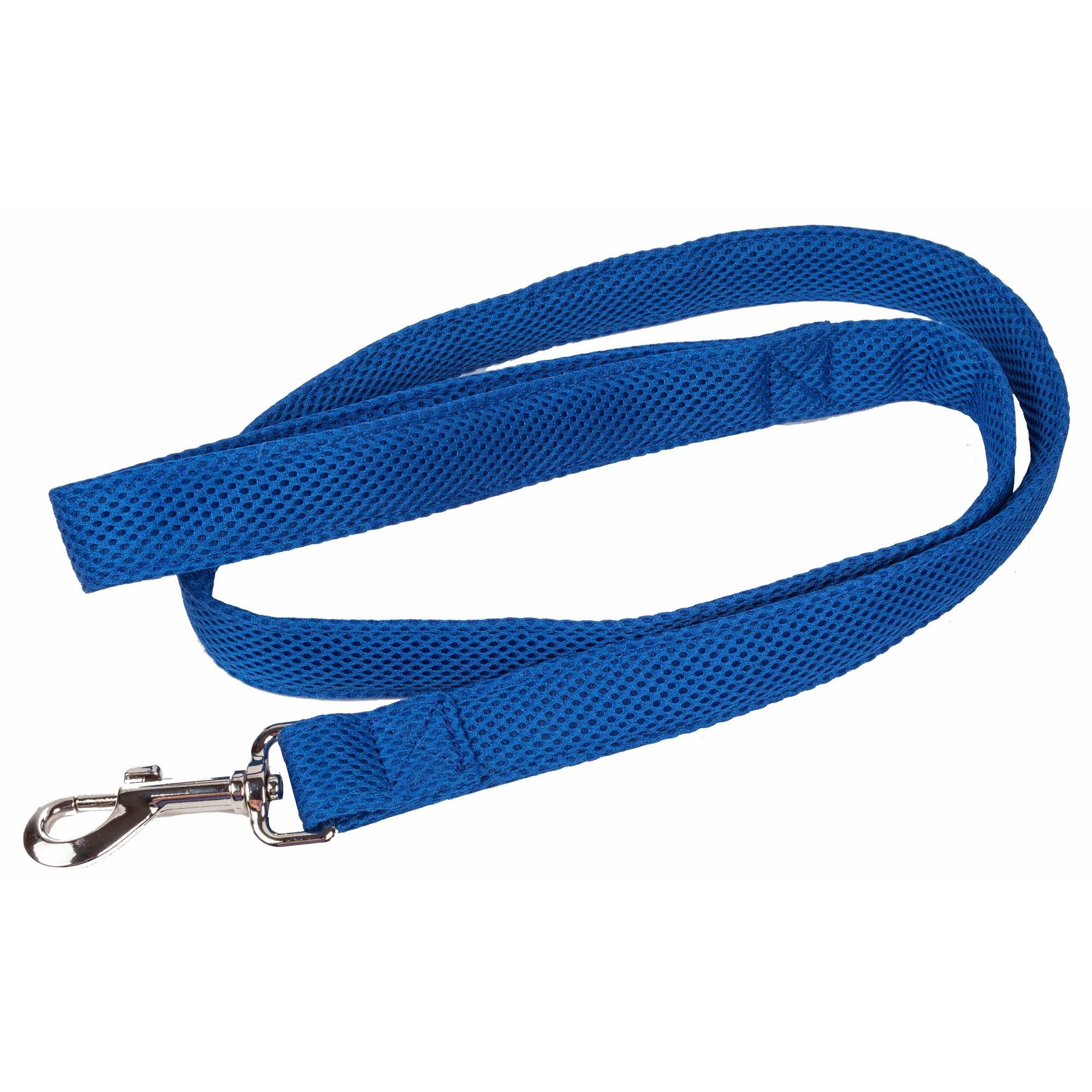 Blue Color