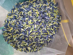 Té de Flor de Guisante Mariposa con Pétalos Azules, Seco, Herbal, Orgánico, 100% Natural, Adelgazante, Saborizado, a Granel, Venta al por Mayor, Red de Suministro de Vietnam - Product Image 1