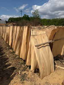 100% Natural Vietnam <b>Eucalyptus</b> Rotary Cut Veneer Eco-Friendly & Durable 1270x640mm for Plywood Manufacturing - Product Image 2