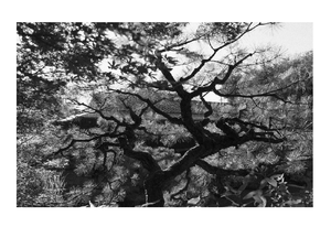 Fournitures de bureau tendance : Emballage et impression, Meilleurs albums photo à couverture rigide 2026 - Product Image 5